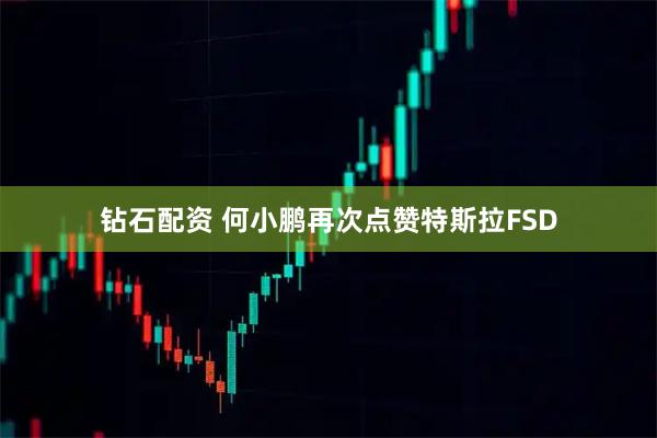 钻石配资 何小鹏再次点赞特斯拉FSD