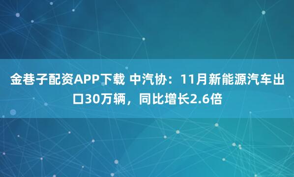 金巷子配资APP下载 中汽协：11月新能源汽车出口30万辆，同比增长2.6倍