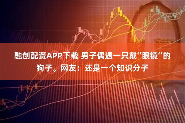 融创配资APP下载 男子偶遇一只戴‘’眼镜‘’的狗子。网友：还是一个知识分子