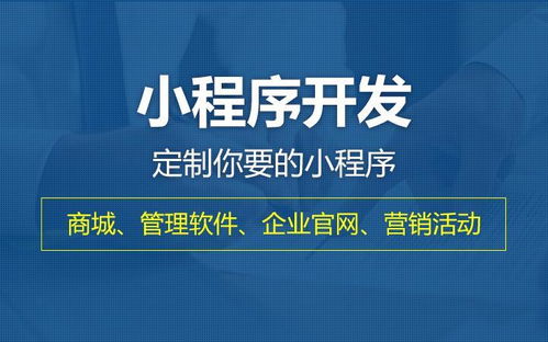 搭建小程序,定制开发 模板与源码三者有何区别 商家该如何选择