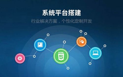 抖推猫系统开发平台
